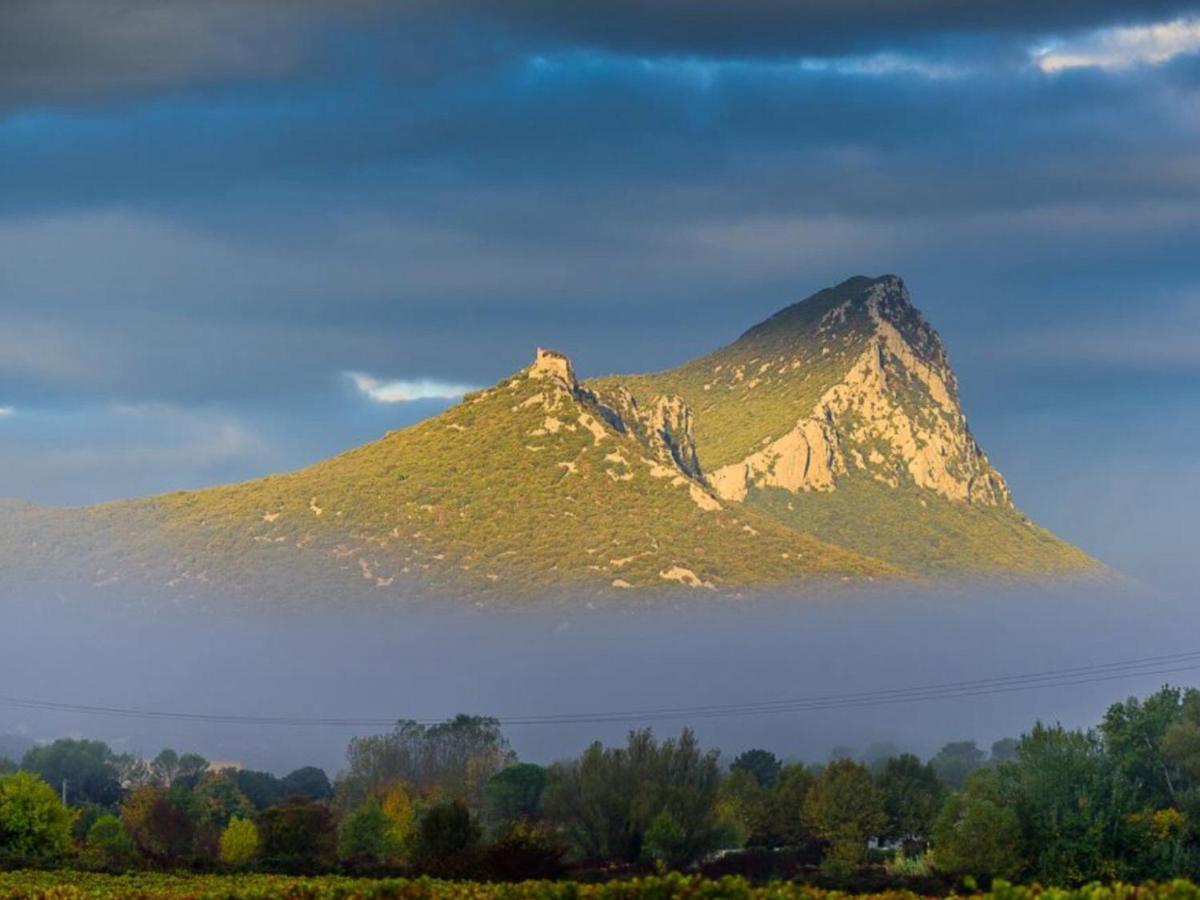 Le Castellas Du Pic St Loup Saint-Mathieu-de-Treviers Exterior photo